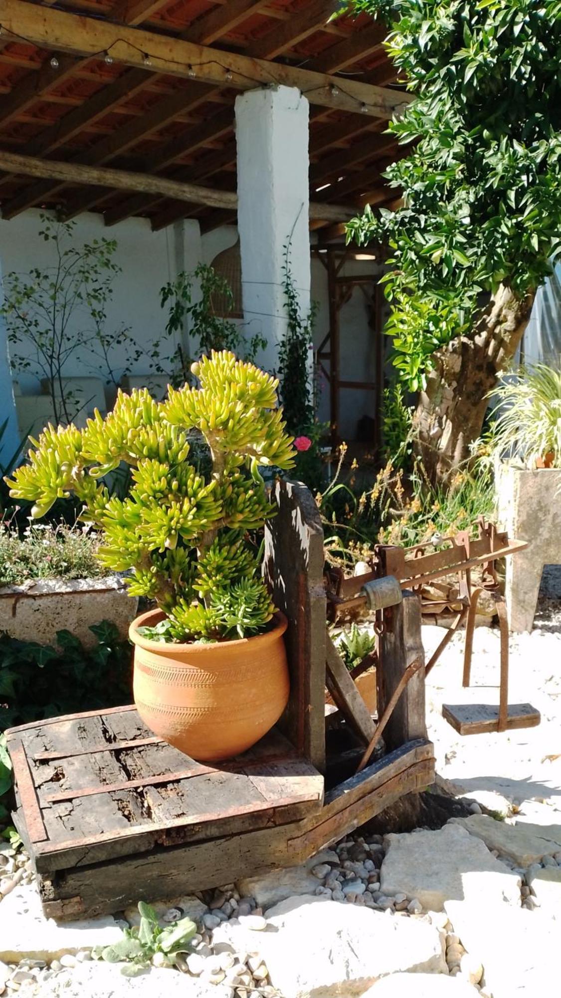 Quinta Castilho Hotel Montes de Cima Ngoại thất bức ảnh